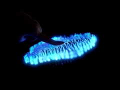 ヘン・チェン・エレクトロニクス・テクノロジー (HK) Co.,Ltd